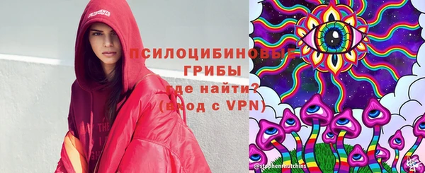 соль ск Лагань