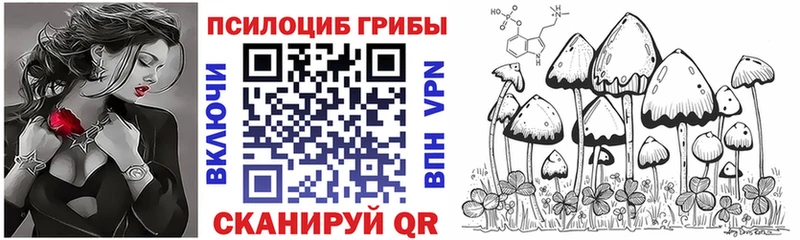 Псилоцибиновые грибы GOLDEN TEACHER Купить закладки Конаково